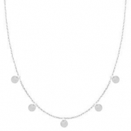 Roestvrij stalen (RVS) Stainless steel kettingen coins Zilver