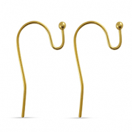 Roestvrij stalen (RVS) Stainless steel oorbellen Gold