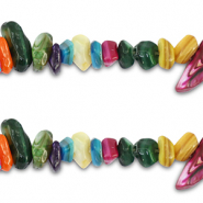 Schelp kralen chipstone Multicolour