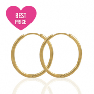 Roestvrij stalen (RVS) Stainless steel oorbellen creolen 17mm Gold