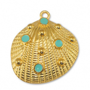 Bedels DQ metaal schelp Veraman Blue-Goud (nikkelvrij)