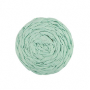 Raffia hanger 25mm Mint green