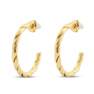 Roestvrij stalen (RVS) Stainless steel oorbellen / oorstekers creolen Gold