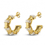 Roestvrij stalen (RVS) Stainless steel oorbellen / oorstekers Gold