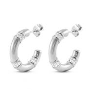 Roestvrij stalen (RVS) Stainless steel oorbellen / oorstekers Silver