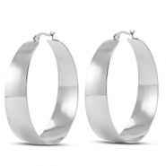 Roestvrij stalen (RVS) Stainless steel oorbellen / creolen Silver