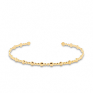 Roestvrij stalen (RVS) Stainless steel armbanden bangle Gold