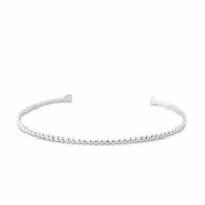 Roestvrij stalen (RVS) Stainless steel armbanden bangle Silver