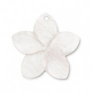 Schelp hanger bloem White