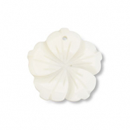 Schelp hanger bloem White