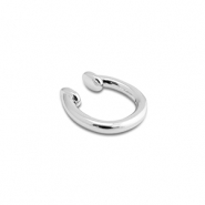 Roestvrij stalen (RVS) Stainless steel oorbellen ear cuff Silver