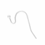 Roestvrij stalen (RVS) Stainless steel onderdelen oorbellen / oorhanger Silver