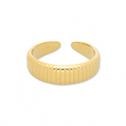 Roestvrij stalen (RVS) Stainless steel ringen met lijnen Gold