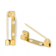 Roestvrij stalen (RVS) Stainless steel onderdelen brochespeld Gold