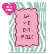 Sieraden kaartjes "la vie est belle" Green-pink