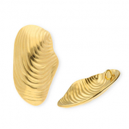 Roestvrij stalen (RVS) Stainless steel bedels schelp Gold