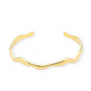 Roestvrij stalen (RVS) Stainless steel armbanden bangle Gold