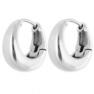 Roestvrij stalen (RVS) Stainless steel oorbellen / creolen Silver