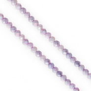 Top Facet kralen 4x3mm disc Purple-AB coating