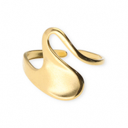 Roestvrij stalen (RVS) Stainless steel ringen Gold