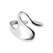 Roestvrij stalen (RVS) Stainless steel ringen Silver