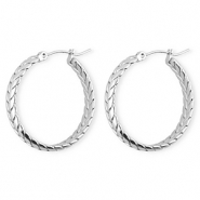 Roestvrij stalen (RVS) Stainless steel oorbellen&nbsp;/&nbsp;creolen snake Silver