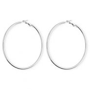 Roestvrij stalen (RVS) Stainless steel oorbellen&nbsp;/&nbsp;creolen Silver