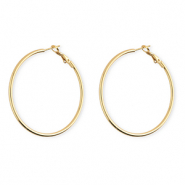 Roestvrij stalen (RVS) Stainless steel oorbellen&nbsp;/&nbsp;creolen Gold