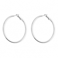 Roestvrij stalen (RVS) Stainless steel oorbellen&nbsp;/&nbsp;creolen Silver