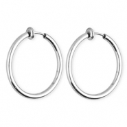 Roestvrij stalen (RVS) Stainless steel clip&nbsp;oorbellen&nbsp;/&nbsp;creolen Silver
