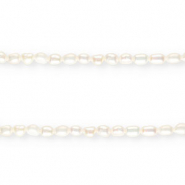 BQ Zoetwaterparels nugget rond 6-7mm Naturel white