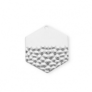 Roestvrij stalen (RVS) Stainless steel bedels hexagon Silver