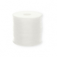 Nylon rijgdraad 1 mm Transparent