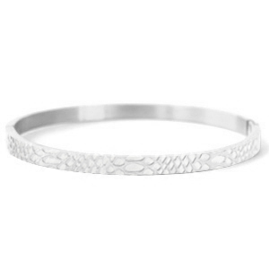 Roestvrij stalen (RVS) Stainless steel armbanden snake Zilver