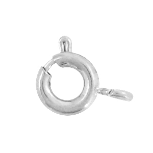 Roestvrij stalen (RVS) Stainless steel onderdelen boeislot 5mm Zilver