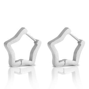 Roestvrij stalen (RVS) Stainless steel oorbellen star Zilver