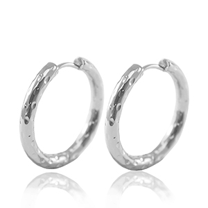 Roestvrij stalen (RVS) Stainless steel oorbellen creolen 23mm Silver