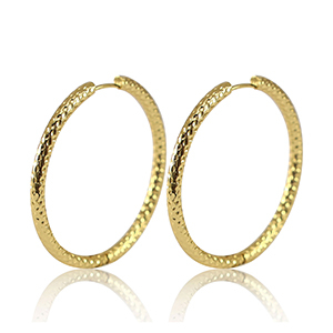 Roestvrij stalen (RVS) Stainless steel oorbellen creolen 23mm Gold