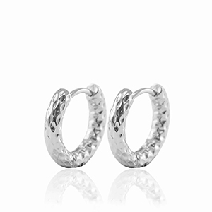 Roestvrij stalen (RVS) Stainless steel oorbellen creolen 19mm Silver