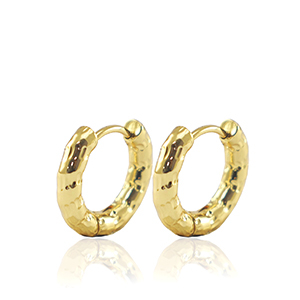 Roestvrij stalen (RVS) Stainless steel oorbellen creolen 19mm Gold