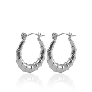 Roestvrij stalen (RVS) Stainless steel oorbellen creolen 20mm Silver