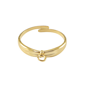 Roestvrij stalen (RVS) Stainless steel ringen met oogje Goud