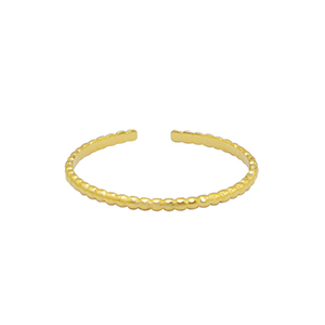 Roestvrij stalen (RVS) Stainless steel ringen Goud