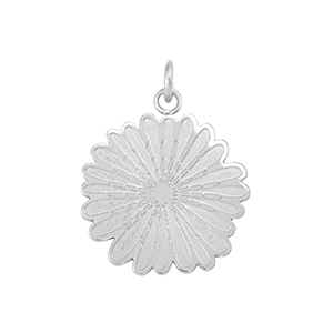 Roestvrij stalen (RVS) Stainless steel bedel bloem Silver / White