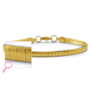 Roestvrij stalen (RVS) Stainless steel armbanden Gold