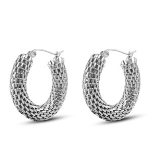 Roestvrij stalen (RVS) Stainless steel oorbellen / oorstekers Silver