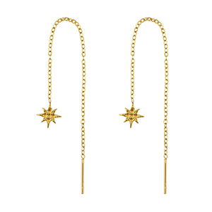 Roestvrij stalen (RVS) Stainless steel oorbellen ster Gold