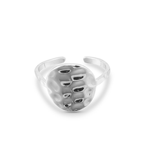 Roestvrij stalen (RVS) Stainless steel ringen Silver