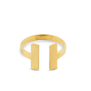 Roestvrij stalen (RVS) Stainless steel ringen Gold