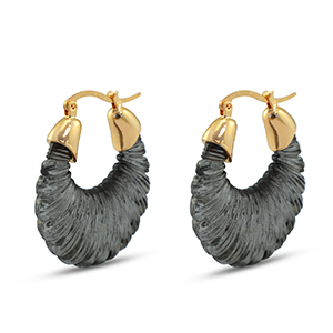 Trendy resin oorbellen ovaal Gold-transparent black